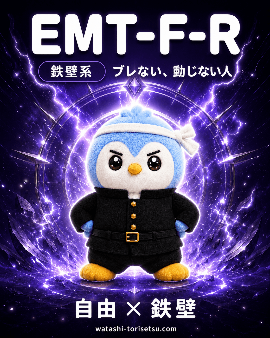 EMT-F-R カード